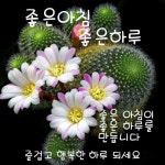 내 행복은 Self다//가을 이미지 - 🔶️좋은 글🛡나눔 - 💜산야와 한울타리💜 내 행복은 Self다//가을 이미지