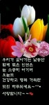 노년은 더욱 아름답습니다. - 🔶️좋은 글🛡나눔 - 💜산야와 한울타리💜 노년은 더욱 아름답습니다.