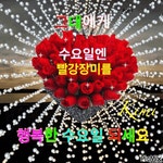 수요일 아침 행복편지 / 봄이 오면 나는 - 🔶️공유 글🔰나눔 - 💜산야와 한울타리💜 수요일 아침 행복편지 / 봄이 오면 나는