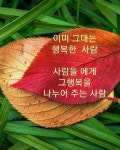 나 인생 내가 스스로 찾아서 살자/가을 이미지 - 🔶️좋은 글🛡나눔 - 💜산야와 한울타리💜 나 인생 내가 스스로 찾아서 살자/가을 이미지