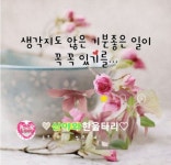 수요일 아침편지 2월의 꽃피는 봄날 - 🔶️공유 글🔰나눔 - 💜산야와 한울타리💜 수요일 아침편지 2월의 꽃피는 봄날