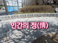 인간의 정(情) - 🔶️공유 글🔰나눔 - 💜산야와 한울타리💜 인간의 정(情)