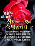 목요일 축복편지 / 살아 있는 것이 축복입니다 - 📷예쁜글움짤이미지(gif) - 💜산야와 한울타리💜 목요일 축복편지 / 살아 있는 것이 축복입니다
