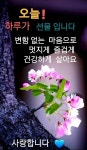 언제나 기분 좋은 말들 - 🔶️영상 글🎥나눔 - 💜산야와 한울타리💜 언제나 기분 좋은 말들