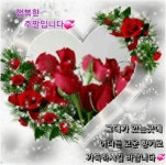 토요일 아침 당신의 향기가 참 좋은 하루 / 온시디움 - 🔶️공유 글🔰나눔 - 💜산야와 한울타리💜 토요일 아침 당신의 향기가 참 좋은 하루... 
