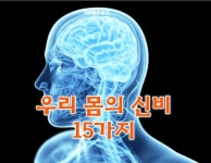 우리 몸의신비 - 🔶️공유 글🔰나눔 - 💜산야와 한울타리💜 우리 몸의신비