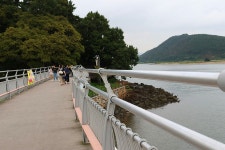 광양 진월 배알도 풍경 - 🌴여행 📷 사진 갤러리 - 💜산야와 한울타리💜 광양 진월 배알도 풍경