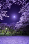 풍경사진 - 🌸자연풍경세계여행지 - 💜산야와 한울타리💜 풍경사진