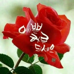 예쁜 글 이미지 나눔 - 📷예쁜움짤이미지(gif) - 💜산야와 한울타리💜 예쁜 글 이미지 나눔