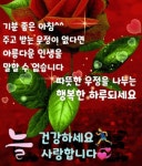늘 건강 하세요 - 🔶️좋은 글🛡나눔 - 💜산야와 한울타리💜 늘 건강 하세요