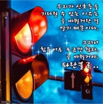 인생의 신호등 - 🔶️공유 글🔰나눔 - 💜산야와 한울타리💜 인생의 신호등