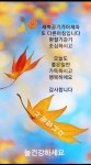 가슴안에 있는 해답 - 🔶️공유 글🔰나눔 - 💜산야와 한울타리💜 가슴안에 있는 해답