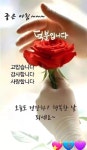 굿모닝 기분좋은 월요일 아침입니다 - 🔶️공유 글🔰나눔 - 💜산야와 한울타리💜 굿모닝 기분좋은 월요일 아침입니다