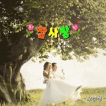 참사랑 - 🔶️공유 글🔰나눔 - 💜산야와 한울타리💜 참사랑
