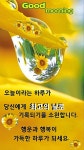 토요일 인사말 이미지/즐거운 주말 보내세요 - 📷예쁜글움짤이미지(gif) - 💜산야와 한울타리💜 토요일 인사말 이미지/즐거운 주말 보내세요