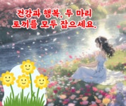 무엇이 행복하고 건강한 인생을 만들까요? - 🔶️공유 글🔰나눔 - 💜산야와 한울타리💜 무엇이 행복하고 건강한 인생을 만들까요?