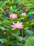 진정한 강자 진정한 청춘 - 🔶️공유 글🔰나눔 - 💜산야와 한울타리💜 진정한 강자 진정한 청춘