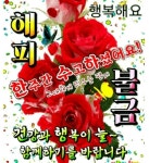 금요일 아침! 행복이 번져 갑니다 / 이미지(동영상) - 🔶️공유 글🔰나눔 - 💜산야와 한울타리💜 금요일 아침! 