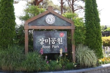 곡성 기차마을 장미공원 각양각색의 장미(2) - 🌴여행 사진 갤러리 - 💜산야와 한울타리💜 곡성 기차마을 장미공원 각양각색의 장미(2)