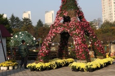 익산 중앙체육공원 천만송이 국화추제(1) - 🌴여행 📷 사진 갤러리 - 💜산야와 한울타리💜 익산 중앙체육공원 천만송이 국화추제(1)
