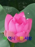 나 역시 귀한 사람 - 🔶️공유 글🔰나눔 - 💜산야와 한울타리💜 나 역시 귀한 사람