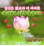 봄 꽃피는 날 - 🔶️공유 글🔰나눔 - 💜산야와 한울타리💜 봄 꽃피는 날
