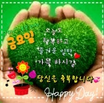 금요일 아침 편지! 인연 아름다운 삶 / 프리뮬러 - 🔶️공유 글🔰나눔 - 💜산야와 한울타리💜 금요일 아침 편지! 인연 아름다운 삶 / 프리뮬러