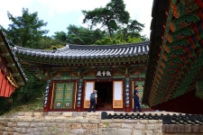 영광 불갑사 관광지 상사화 축제(2) - 🌴여행 📷 사진 갤러리 - 💜산야와 한울타리💜 영광 불갑사 관광지 상사화 축제(2)