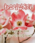 화요일 문안편지 가장 소중한 시간은 / 산호수 - 🔶️공유 글🔰나눔 - 💜산야와 한울타리💜 화요일 문안편지 가장 소중한 시간은 / 산호수