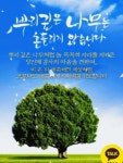 냼留시, 21명 신원 확정… 외부 자금 흐름과 행정 절차 취약점 이용 의심 사례 다수 확인