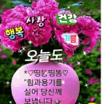 오늘도 행복 사랑 건강 기쁨 가득 하시길 - 🔶️공유 글🔰나눔 - 💜산야와 한울타리💜 오늘도 행복 사랑 건강 기쁨 가득 하시길