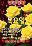 목요일 아침! [감사함으로 여는 행복한 아침의편지] / 구상나무... 한울타리💜 목요일 아침! [감사함으로 여는 행복한 아침의편지] / 구상나무