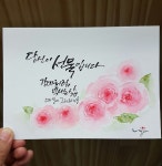 오늘 하루가 가장 큰 선물입니다 - 🔶️공유 글🔰나눔 - 💜산야와 한울타리💜 오늘 하루가 가장 큰 선물입니다