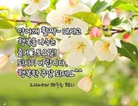 토요일 아침편지/ 5월에는 사랑을 - 🔶️공유 글🔰나눔 - 💜산야와 한울타리💜 토요일 아침편지/ 5월에는 사랑을