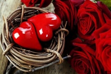 천년의 사랑 - ―――˚ 자유♡게시판 - 고목가든,펜션 천년의 사랑