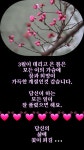 법정스님이 말하는 중년의 삶 - 🔶️공유 글🔰나눔 - 💜산야와 한울타리💜 법정스님이 말하는 중년의 삶