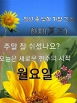 마지 못해 피는 꽃이 되지마라. - 🔶️좋은 글🛡나눔 - 💜산야와 한울타리💜 마지 못해 피는 꽃이 되지마라.