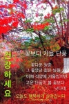 가장 아름다운 약속//가을 이미지 - ️좋은 글c나눔 - 산야와 한울타리 가장 아름다운 약속//가을 이미지