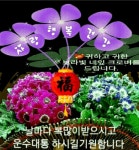 즐거운 일요일 - 🔶️좋은 글🛡나눔 - 💜산야와 한울타리💜 즐거운 일요일