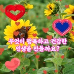 무엇이 행복하고 건강한 인생을 만들까요? - 🔶️공유 글🔰나눔 - 💜산야와 한울타리💜 무엇이 행복하고 건강한 인생을 만들까요?