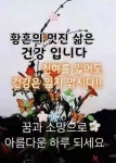 마지 못해 피는 꽃이 되지마라. - 🔶️좋은 글🛡나눔 - 💜산야와 한울타리💜 마지 못해 피는 꽃이 되지마라.