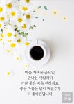 꽃들은 왜 꽃말을 갖고 있을까? - 🔶️공유 글🔰나눔 - 💜산야와 한울타리💜 꽃들은 왜 꽃말을 갖고 있을까?