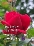 수요일 아침! 오늘도 기분좋은 하루되세요 / 꽝꽝나무 - 🔶️공유 글... 한울타리💜 수요일 아침! 오늘도 기분좋은 하루되세요 / 꽝꽝나무