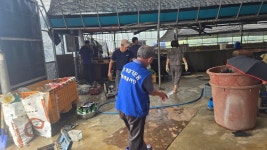 수해피해 복구지원 - 파랑새봉사단″`°³оΟ☆ - 바르게살기운동 세종특별자치시협의회 수해피해 복구지원