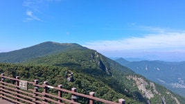 밀양시 천황산 산행 - 8월 26일 - 경상남도 지부 - 세계원화도연맹 한국협회 밀양시 천황산 산행 - 8월 26일