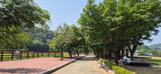 임실 사선대ㆍ옥정호붕어섬출렁다리ㆍ한국도로공사전주수목원 2025.6.1일 - 일반산행 - 신가팔환초 임실... 