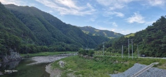 선자령ㆍ묵호항ㆍ봉화분천마을 2025.8.16일 - 일반산행 - 신가팔환초 선자령ㆍ묵호항ㆍ봉화분천마을 2025.8.16일