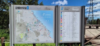 선자령ㆍ묵호항ㆍ봉화분천마을 2025.8.16일 - 일반산행 - 신가팔환초 선자령ㆍ묵호항ㆍ봉화분천마을 2025.8.16일