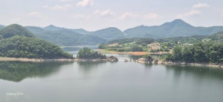 임실 사선대ㆍ옥정호붕어섬출렁다리ㆍ한국도로공사전주수목원 2025.6.1일 - 일반산행 - 신가팔환초 임실... 