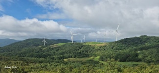 선자령ㆍ묵호항ㆍ봉화분천마을 2025.8.16일 - 일반산행 - 신가팔환초 선자령ㆍ묵호항ㆍ봉화분천마을 2025.8.16일